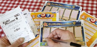 Принесет ли кошка удачу в лотерее? Принесет ли кошка удачу в лотерее