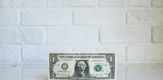 Заработок на ставках